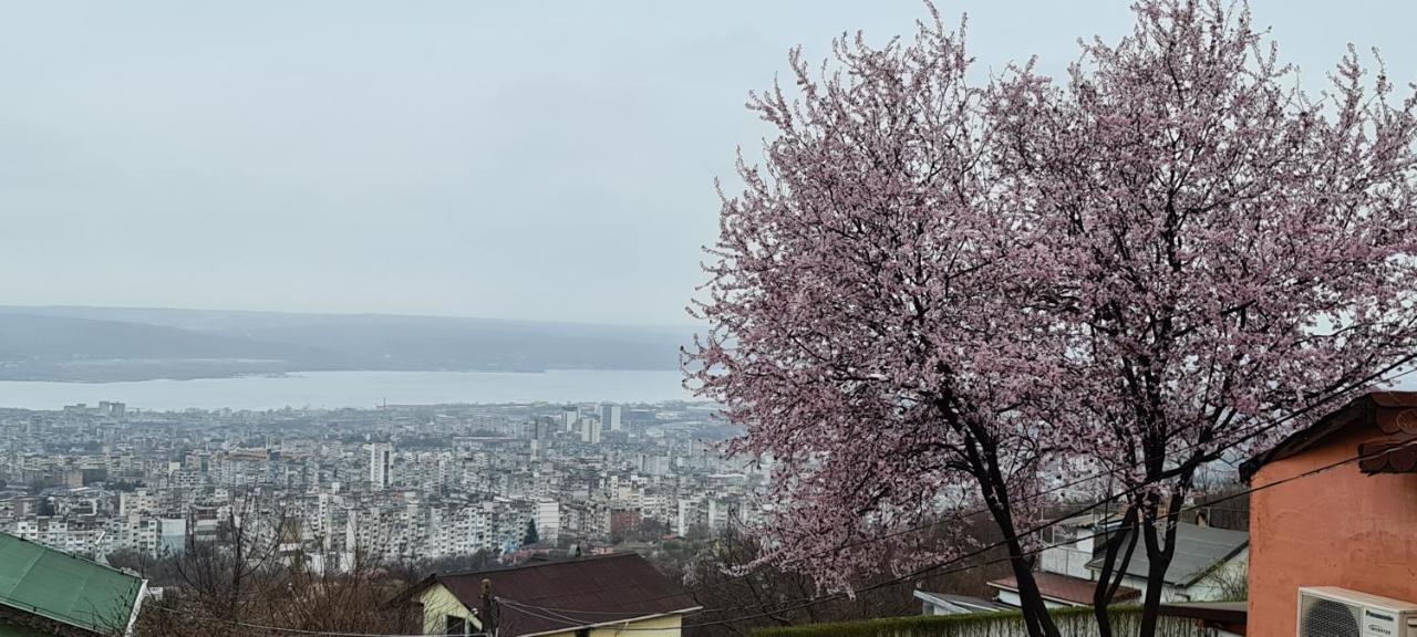 Hotel Infinity Varna Sky Zewnętrze zdjęcie
