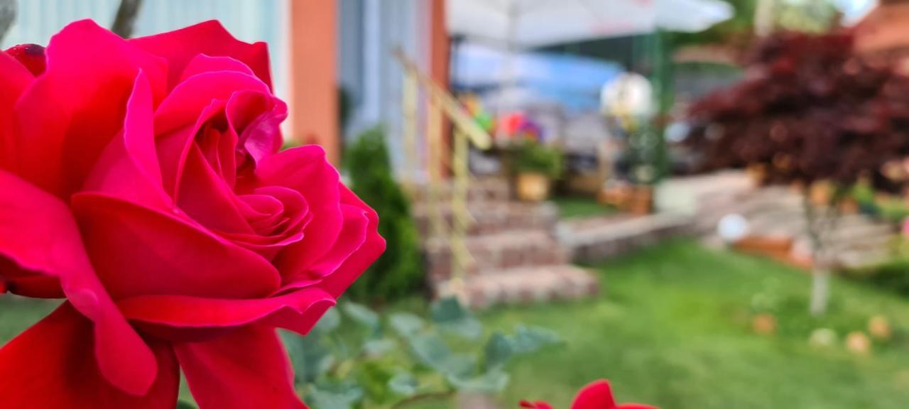 Hotel Infinity Varna Sky Zewnętrze zdjęcie